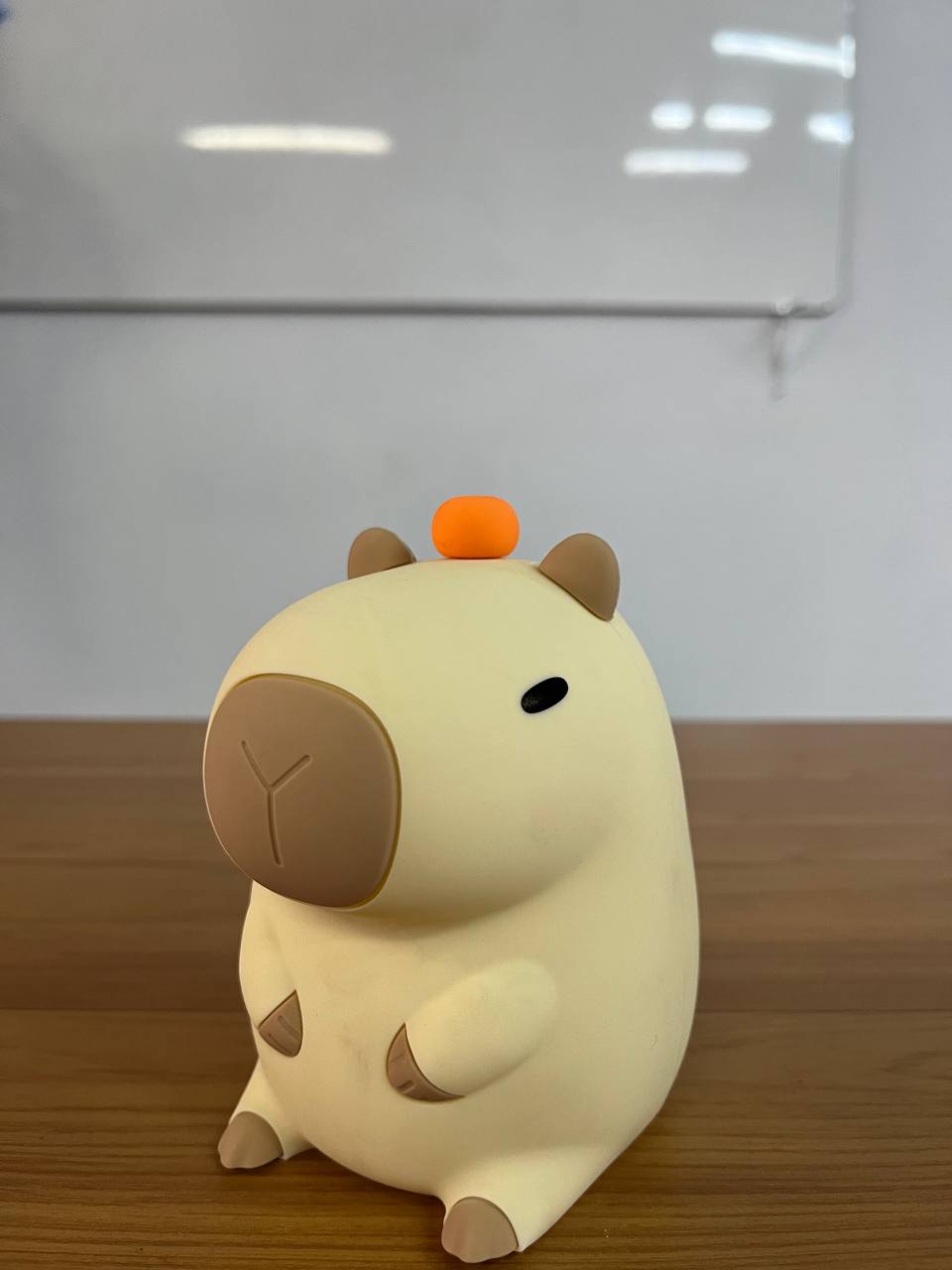 Product Photo