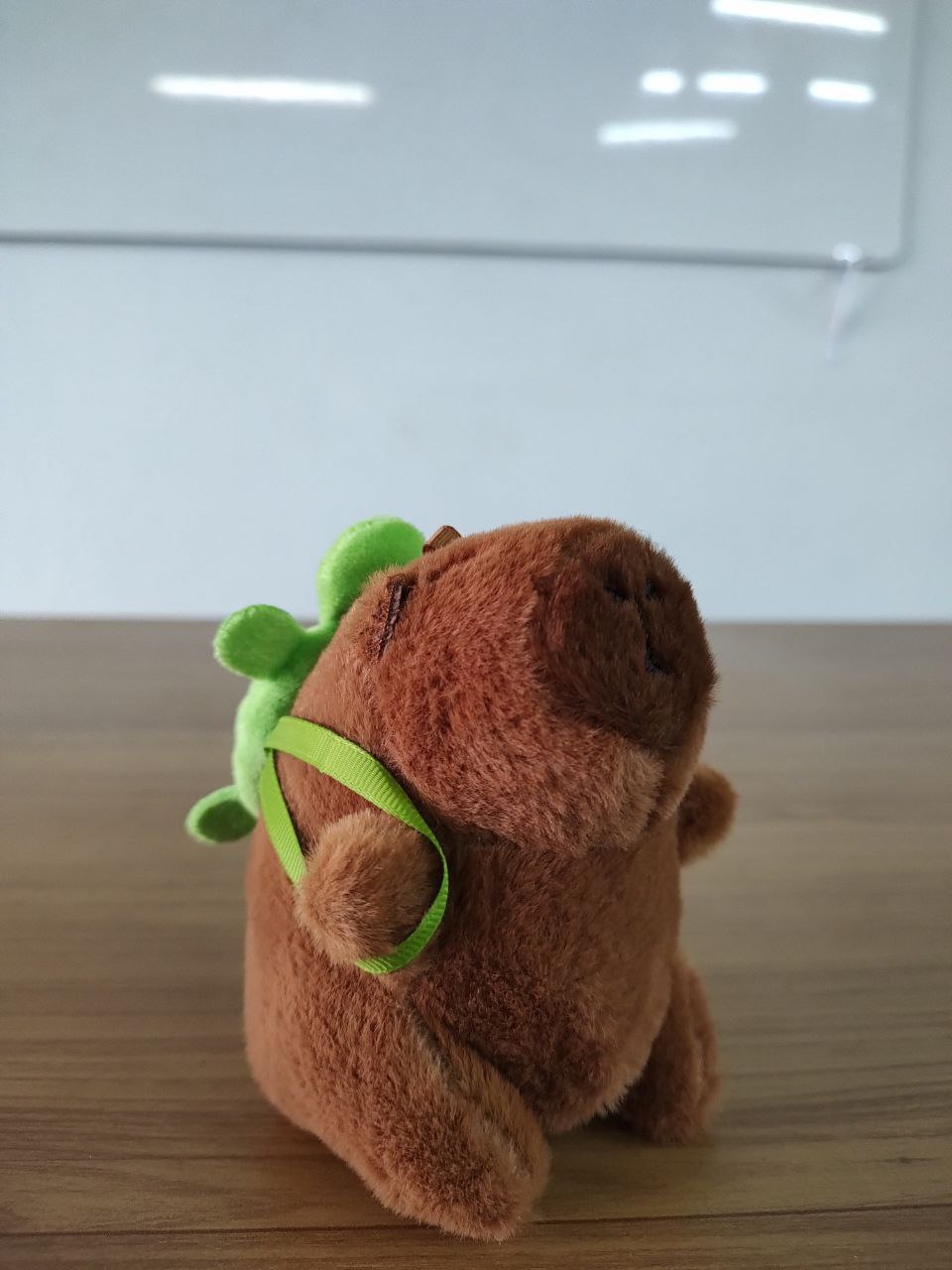 Product Photo